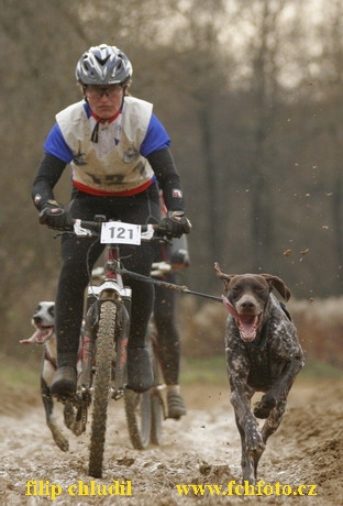 Bakonybel - 0351.JPG